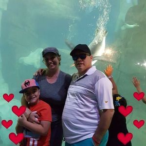 Meet your Posher, Pedro pablo